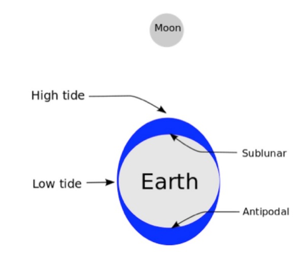 A schematic of the phenomenon of tides. Not to scale.