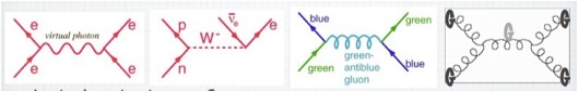 [Feynman diagrams denoting elementary particle scattering with electromagnetic, weak, and strong nuclear forces operating, as well as gravity]