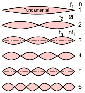The different harmonics for vibration - the fundamental and the overtones.